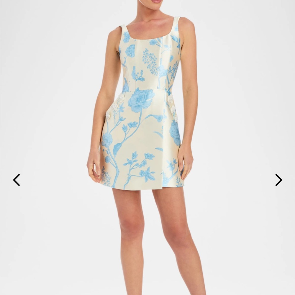 Mestiza Chianti Mini Dress - Picture 1 of 11